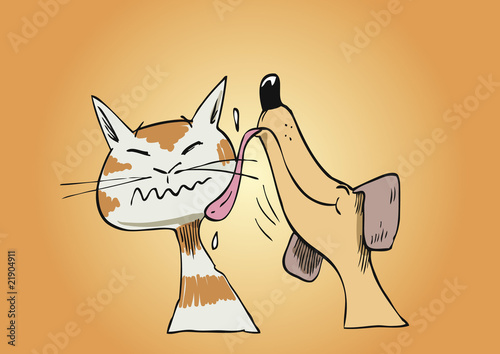 Hund-Katze