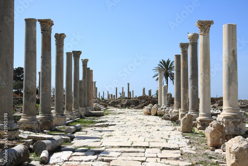 Tyre Roman Columns, Lebanon photo