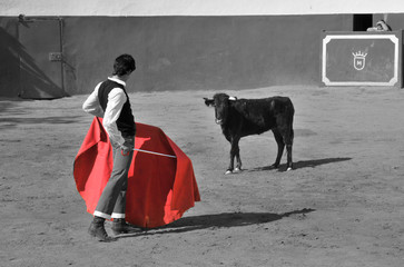 Poster Stierenvechten Capea in landelijke arena  © nadet