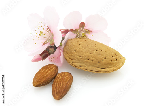 Dried almonds with flowers