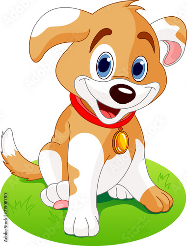 Cute Puppy sitting on the meadow