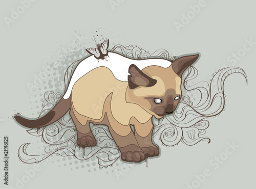 The cat on bizarre background