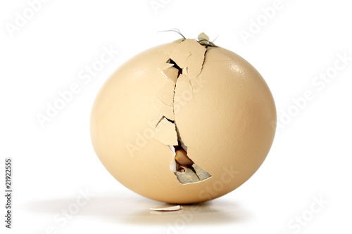 Fotografie egg cracked from the inside