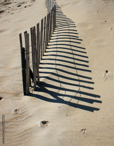 Dune Shadows photo