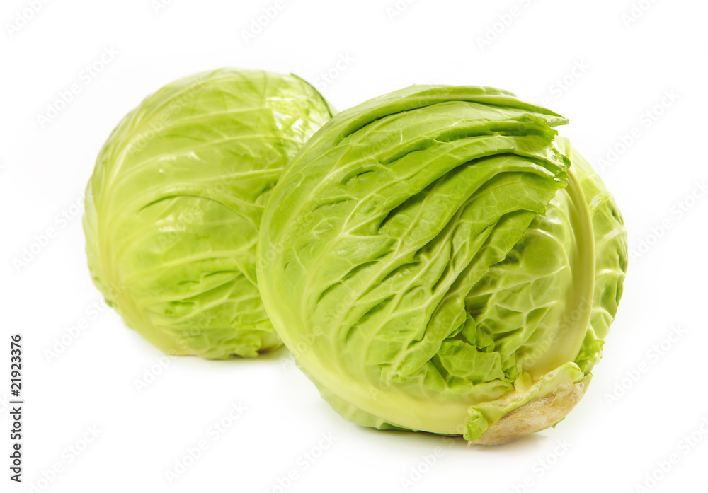 cabbage cabbage