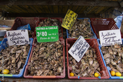 ostriche a cancale bretagna photo