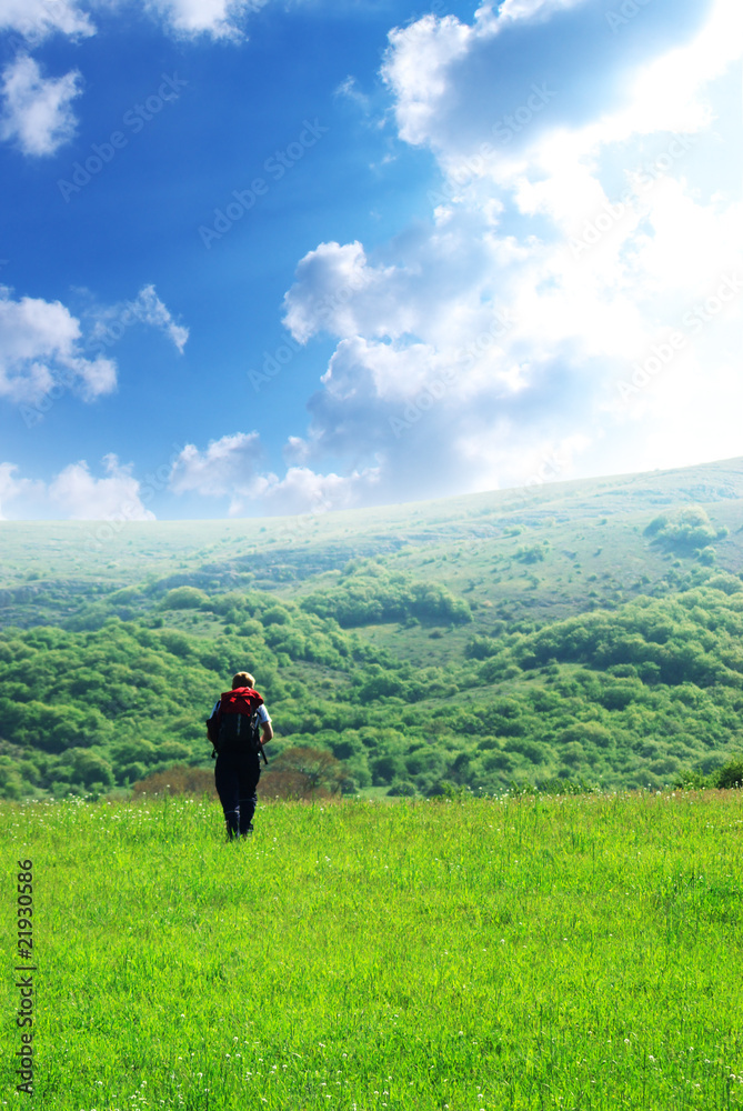 Traveler and nature