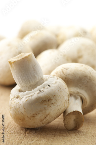 Mushrooms close-up