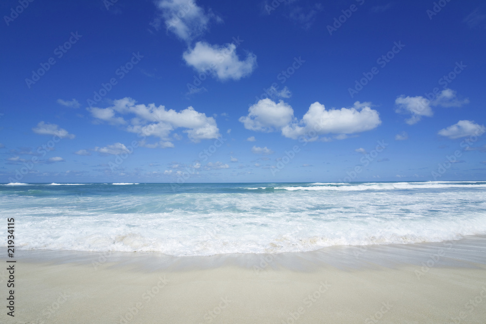 TROPICAL BEACH TROPICAL BEACH