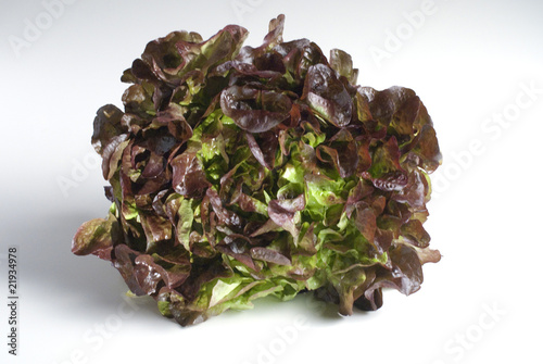 red oak leaf lettuce (Eichblattsalat)