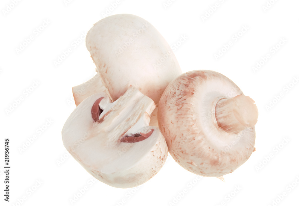 Fototapeta premium Fresh white champignons