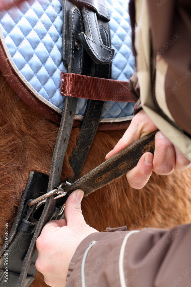 Obraz premium Festzurren