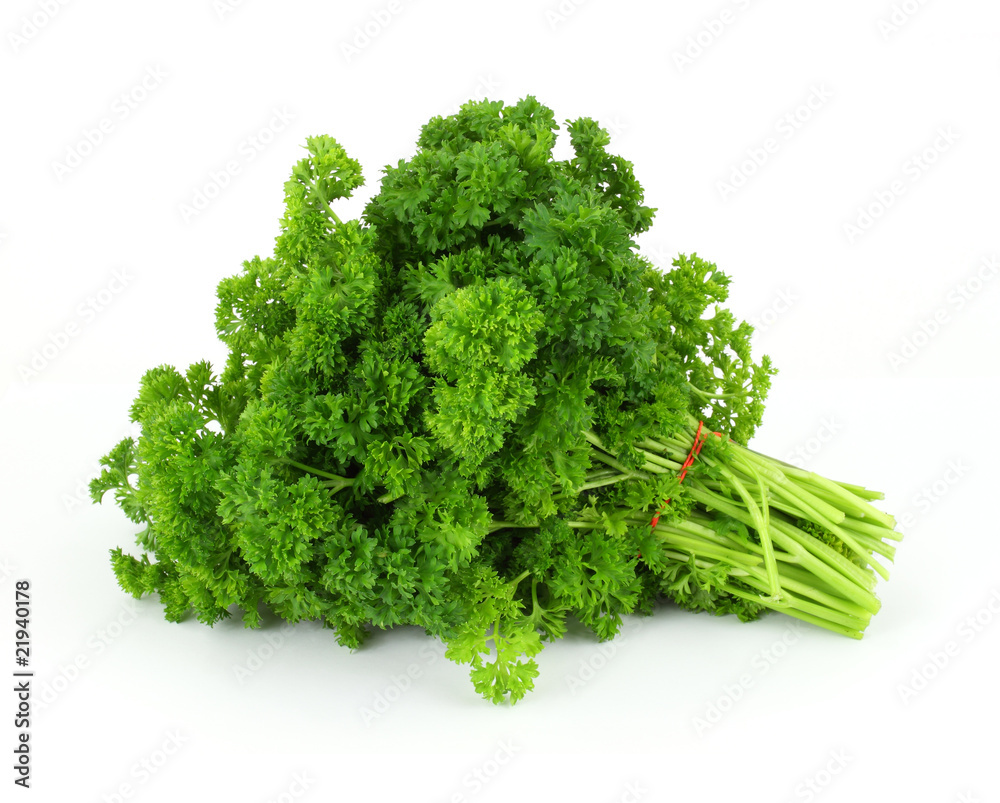 A single bunch of parsley on a white background A single bunch of parsley on a white background
