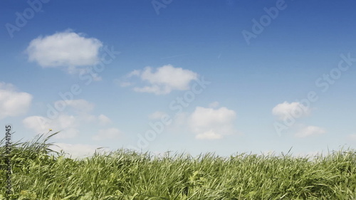 cyclists cycling in springtime background blue skies green grass