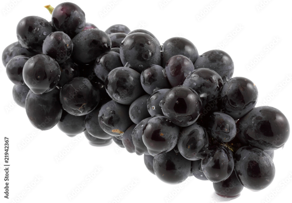 grappe raisin noir, fond blanc grappe raisin noir, fond blanc