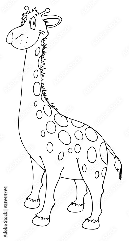 Obraz premium Giraffe, Zoo, Afrika