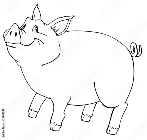 Schwein, Sau, Eber, Bauernhof, Farm