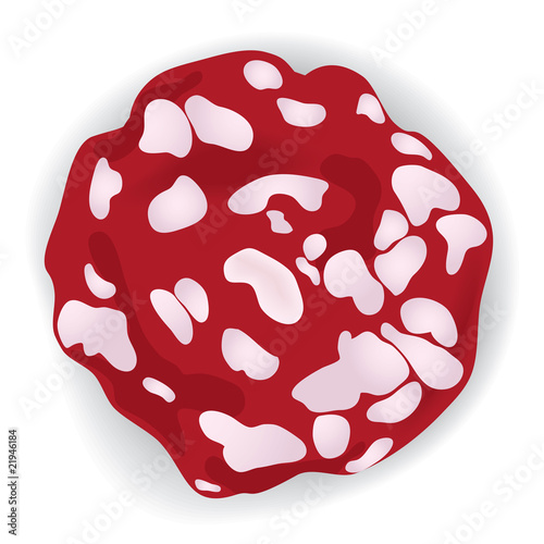 piece of pig sausage(vector, CMYK)