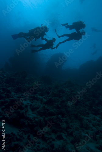 Silhouette of divers