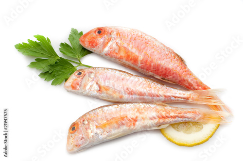 little red mullets with lemon and parsley