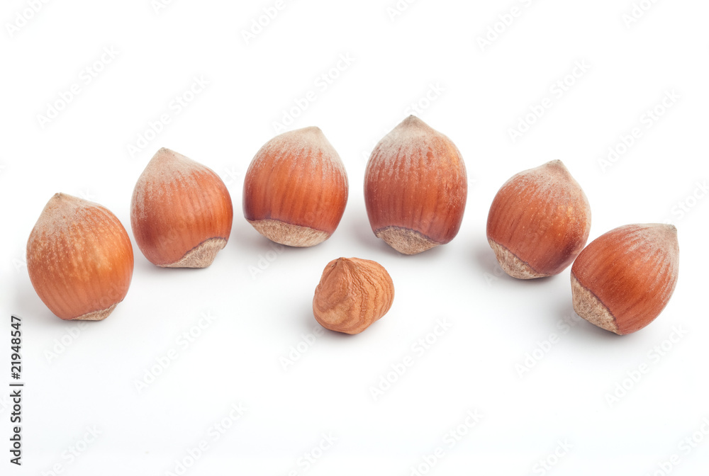 Semicircle of hazelnuts surrounding kernel in the center Semicircle of hazelnuts surrounding kernel in the center