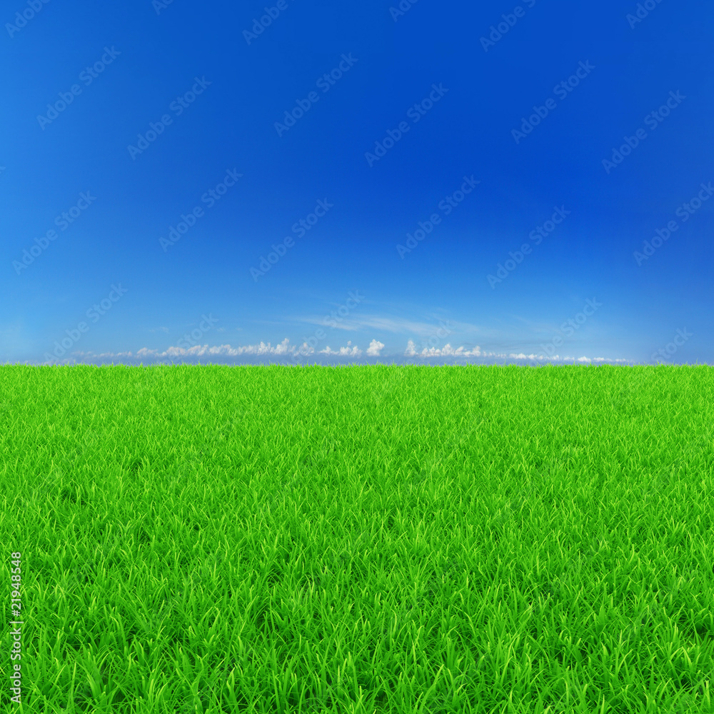 Sunny background with green grass and blue sky
