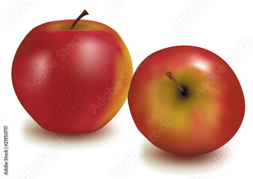 Photo-realistic vector illustration. Two red apples.