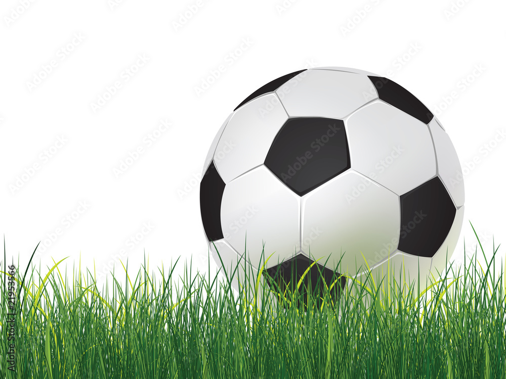 Fototapeta premium Soccer ball