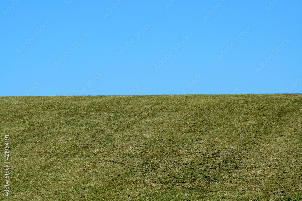 Obraz premium Green field and blue sky