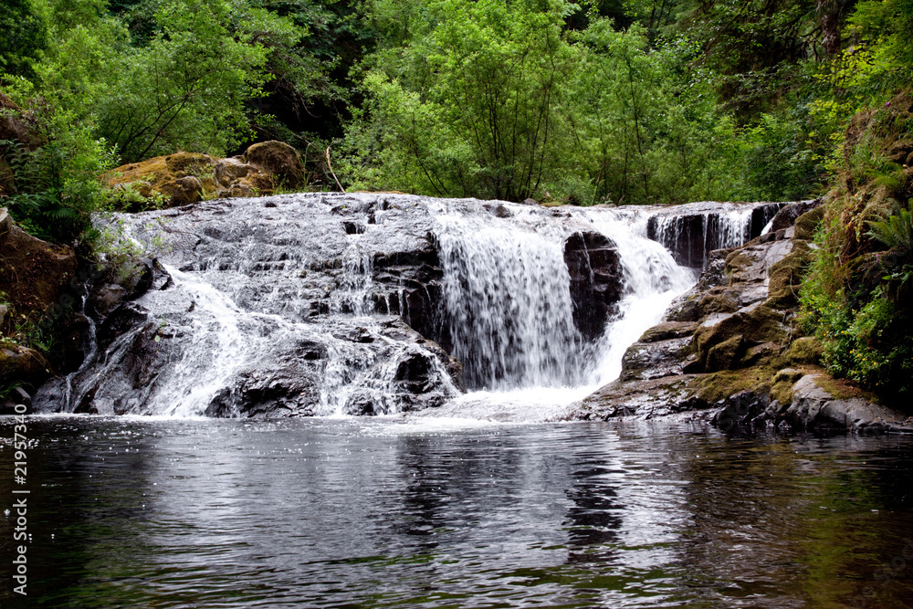 Naklejka premium Sweet Creek Falls