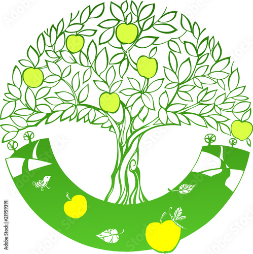 apple-tree