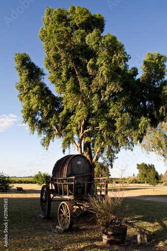 Weingut Juanico, Uruguay photo