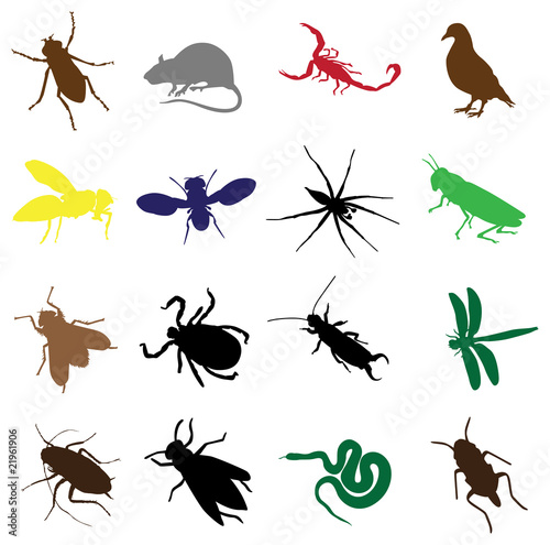 sixteen insects and rodents © jameschipper