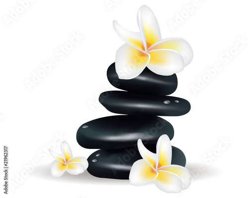 Spa theme