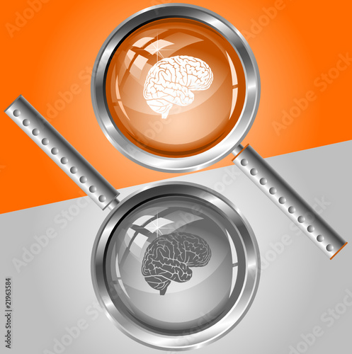Brain. Vector magnifying glass.