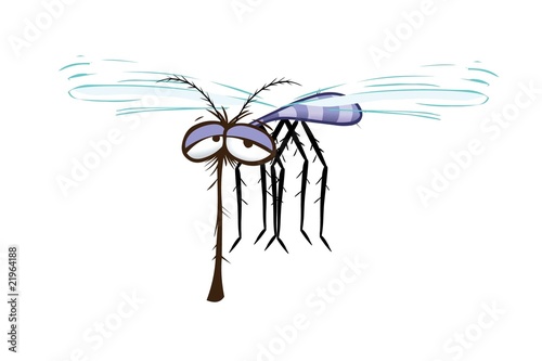 mosquito
