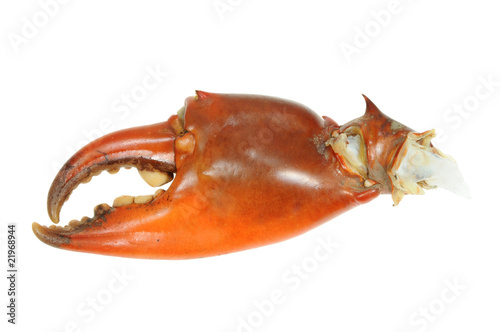 Cooked Crab Pincer Isolation