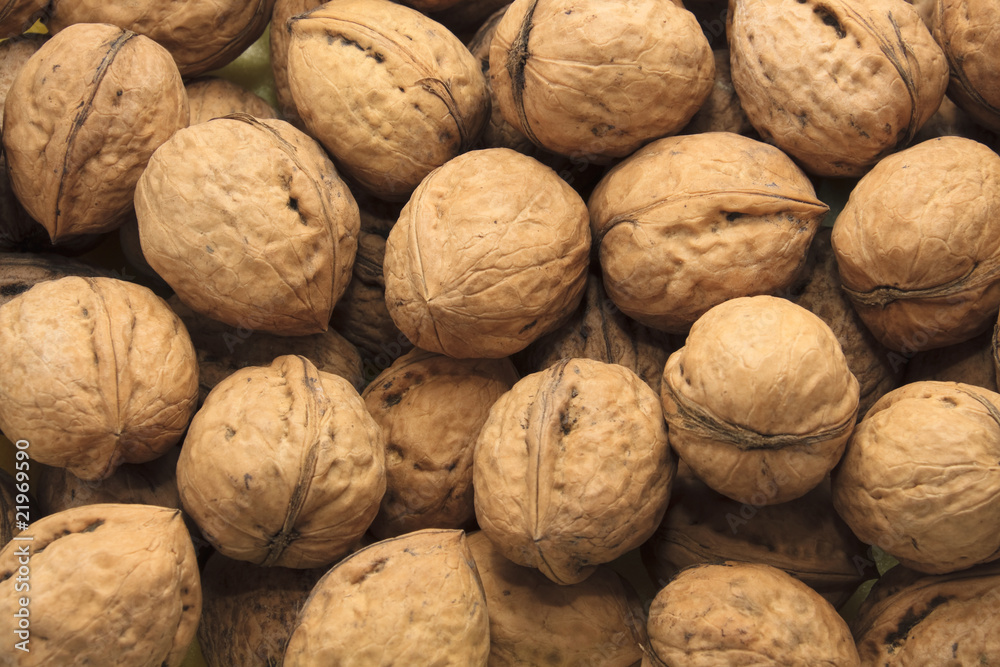 large Circassian walnuts large Circassian walnuts