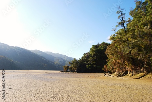 Bilde på lerret Abel Tasman Nationalpark