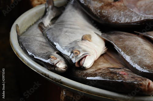 Am Fischmarkt photo