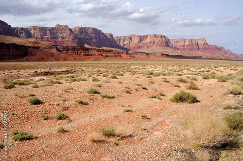 Vermilion Cliffs National Monument photo