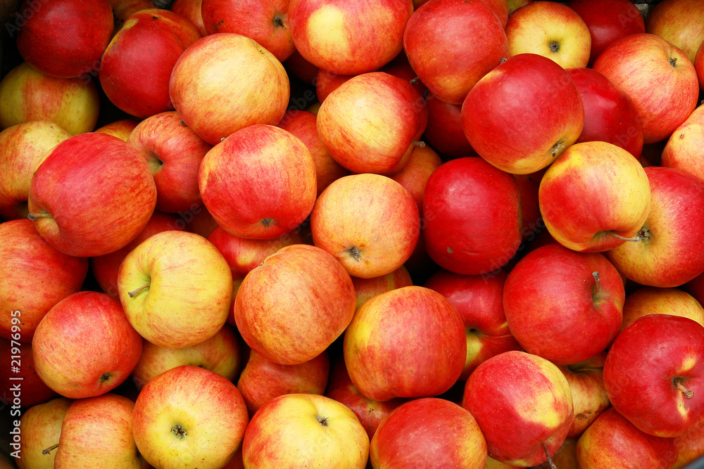 Apples Apples