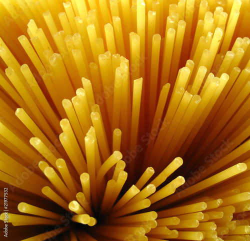 spaghetti