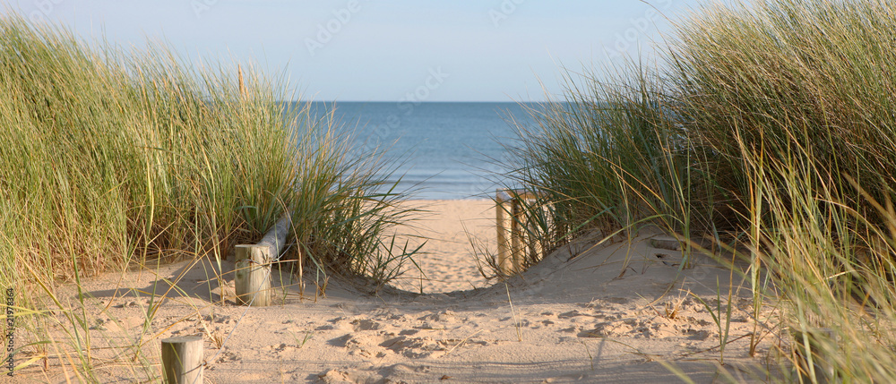 Obraz premium Ścieżka na plaży przez wydmy
