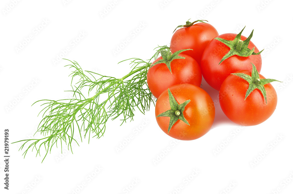 Pomodori e Finocchietto 01 04 10 Pomodori e Finocchietto 01 04 10