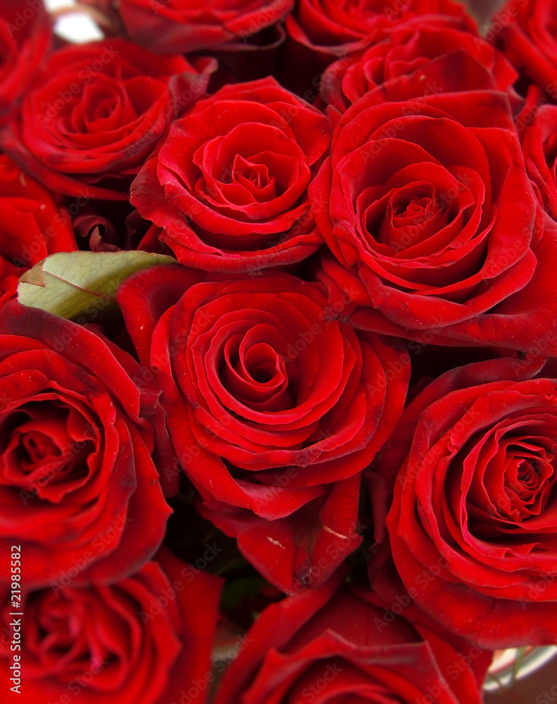 red roses bouquet