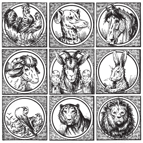 set of antique animals engravings (vector)