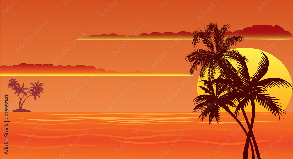 tropical sunset beach with palms