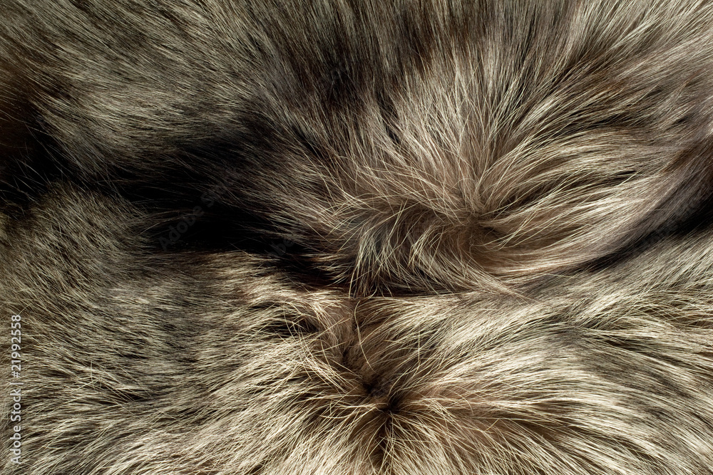 Background - beautiful polar Fox fur Background - beautiful polar Fox fur