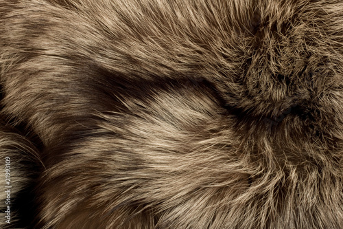 Polar Fox fur. Useful as texture